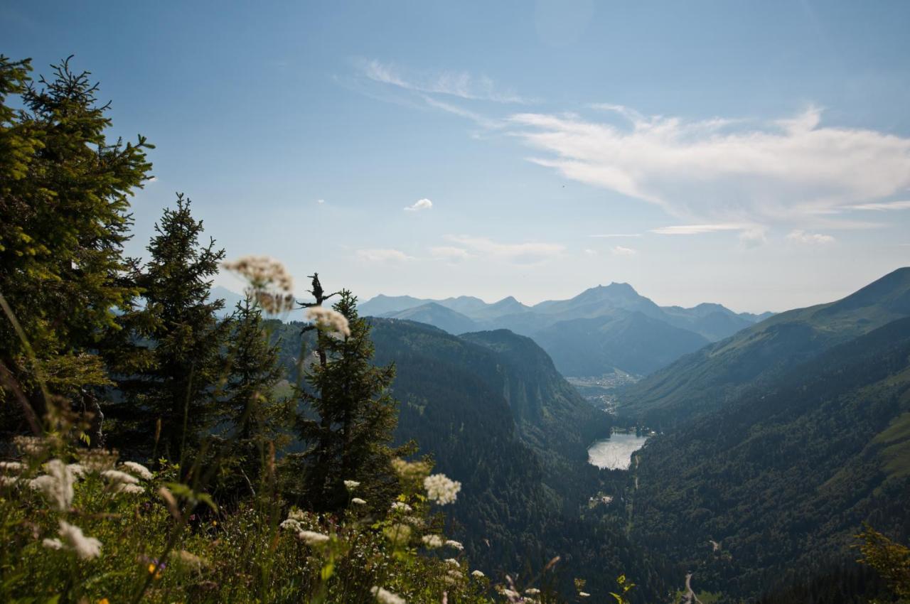 Chalet Sur Les Monts Morzine Montriond Bagian luar foto
